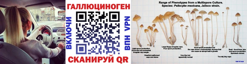как найти закладки  Калининград  Галлюциногенные грибы мухоморы 