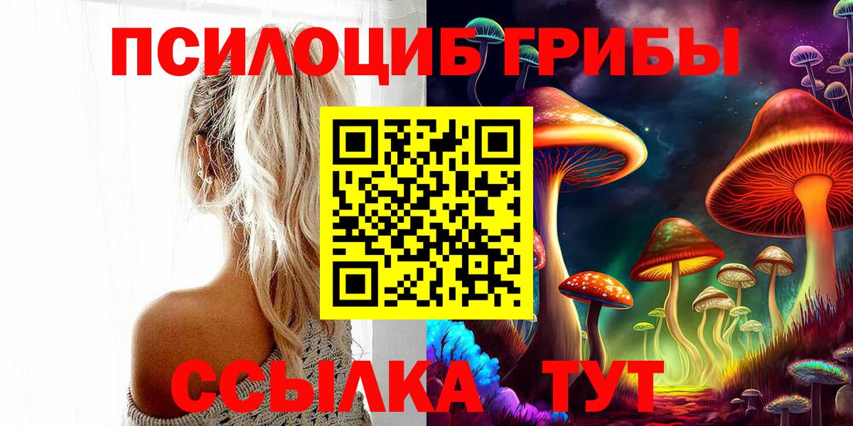 Галлюциногенные грибы Psilocybine cubensis Калининград